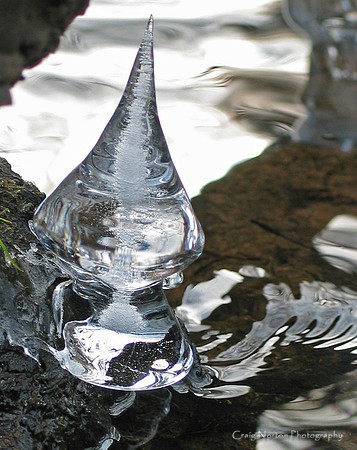 Ice Munchkin #1