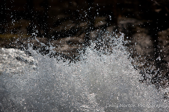 Splash!