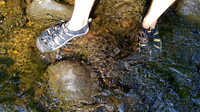 Get Wet