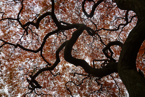 Look For The Awe in Everything