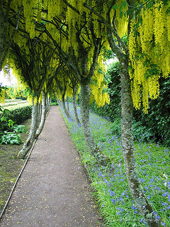 Castle Garden Walk