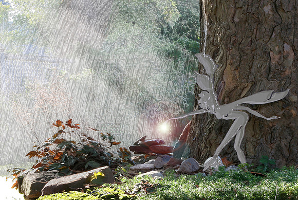Faerie Rain