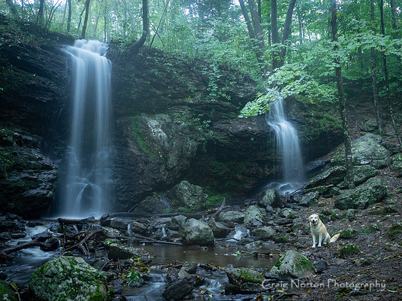Abbey Loves Waterfalls