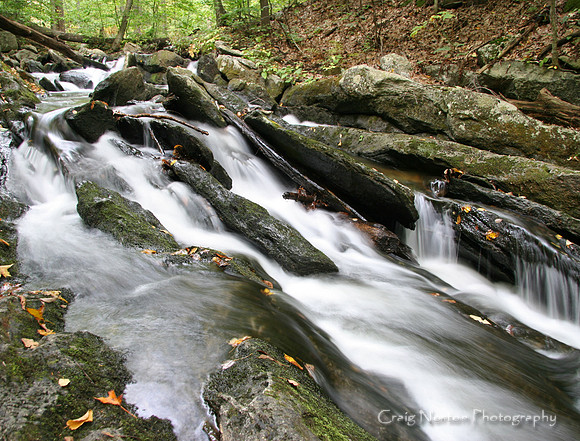 In The Flow