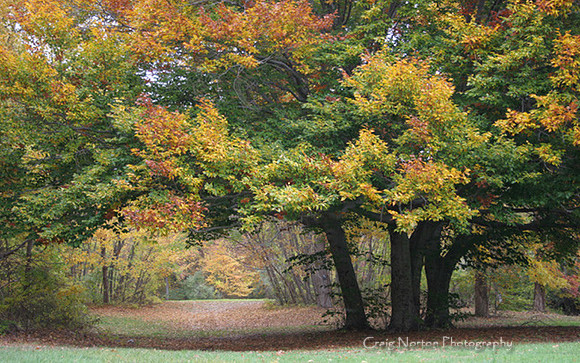 Autumn's Gate
