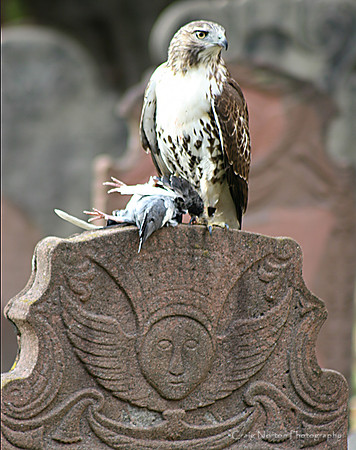 Death Revisited