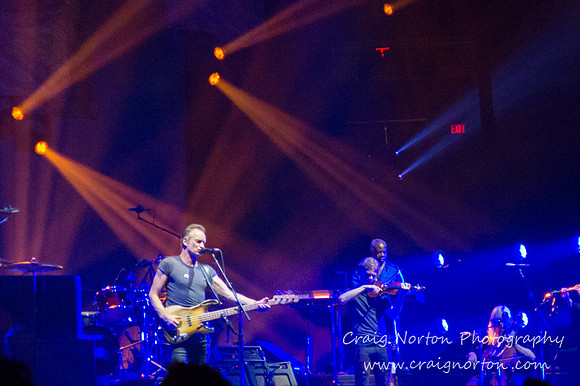 Sting, 2016