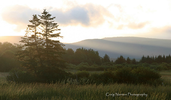 Margaree Valley